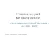 Intensive support for Young peoplewapes.org/fr/system/files/2_france_wapes_sarajevo.pptx.pdf · • Un accompagnement intensif des jeunes éloignés de l’emploi • cofinancé par