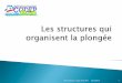 Alain Bertrand - Stage initial MF1 03/12/2016 1codep01.ffessm.fr/IMG/pdf/les_structures_qui_organisent_la_plongee-3.pdfPlongée en apnée, Plongée libre, ... (2016): le contrat de