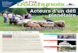 Ville de Douchy-les-Mines - Jean Bastille Acteurs …douchy-les-mines.com/wp-content/uploads/2017/06/web_8256...en direction de nos amis les bêtes. Les animaux ont tenu leur place