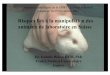 Risques liés à la manipulation des animaux de laboratoire ... SOHF... · fonctions rénales pendant 4 jours puis amélioration -> sérologie positive pour le virus Hantaan -> 2