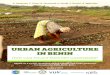 URBAN AGRICULTURE IN BENIN...URBAN AGRICULTURE IN BENIN HOW CAN POLICY SUPPORT GARDENERS? Report on a survey conducted among experienced urban gardeners in Cotonou and Porto-Novo,