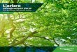 L’arbre - Longueuil · L’arbre, trop souvent apprécié uniquement pour sa valeur ornementale, est une infrastructure verte essentielle à notre environnement. Les arbres réduisent