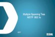 Multiple Spanning Tree MSTP 802 - wiki. Multiple Spanning Tree MSTP Objectif et avantages de MSTP: Dâ€™augmenter