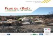 DP FDR BP DP Feux foret campagne · p.3 Les régions les plus touchées en France p.3 Les chiffres-clés en Europe p.4 Comment les feux sont-ils déclenchés ? p.4 Le changement climatique,
