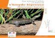L’Emyde lépreuse · 2012-06-28 · Plan national d’actions | Emyde lépreuse 2012-2016 Ministère de l’Écologie, du Développement Durable, des Transports et du Logement Résumé