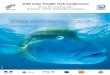 leS PoiSSonS de l’indo-Pacifique face aux changementS ... · IPFC soit : «Biologie, Savoirs ancestraux et Gestion des stocks de poissons dans l’Indo-Pacifique: Quelles mesures