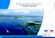 Monographie Maritime de la Martinique 2017 - 2018 2017 -2018€¦ · La pyramide des âges des marins-pêcheurs de Martinique est fortement déséquilibrée : l’âge médian est