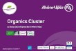 Organics Cluster · Organics Cluster Le réseau des entreprises Bio en Rhône-Alpes . Le marché des produits bio en RHF Avril 2013 Etude CSA – Agence Bio 2013 . La part du bio