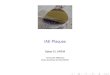 IAE Plaques - Mines ParisTechmms2.ensmp.fr/mms_paris/plaque/transparents/plaques-2010.pdf · Introduction : solides et structures minces Introduction : solides et structures minces