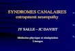 SYNDROMES CANALAIRES entrapment neuropathyancien.cofemer.fr/UserFiles/File/12 syndrome canalaire.pdf · H F –Canal carpien : 88 193 –Morton : 52 87 –Ulnaire : 25 19 –Méralgie