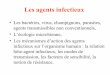 Aucun titre de diapositive - Freeentreide.free.fr/cours/1a/ue210s1/les agents infectieux.pdf · De nombreuses bactéries sont normalement présentes sur la peau et les muqueuses des