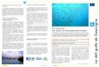 statut des pêcheries Le défi golfe de Gascogne · Les facteurs qui ont contribué à l’évolution de la valeur totale des ... pour une bonne part au changement global du climat