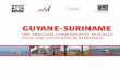 Etude CEROM Guyane - Suriname · 2013-03-10 · 4. Synthèse . Un fleuve où se rencontrent une région européenne et un pays du Sud . Situés au nord-est du continent sud-américain,