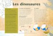 Les dinosaures - Office de Tourisme d'Istres · PDF file des Théropodes, les dinosaures carnivores, et donc des dinosaures eux aussi, survivent à l’extinction, et représentent