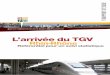 L’arrivée du TGV Rhin-Rhône...OBSERVATOIRE TGV 5 Rhin Rhône agence d’ urbanisme de la région m ulhousienne Etablissements créés dans le secteur du commerce. Source REE-INSEE