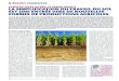 A2C le site de l'agriculture de conservation - PerSPectiveS APrèS …agriculture-de-conservation.com/sites/agriculture-de... · 2017-02-17 · coûts de mécanisation. dans d’autres