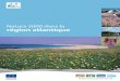 Natura 2000 dans la région atlantique - European Commissionec.europa.eu/environment/nature/info/pubs/docs/biogeos/... · 2016-05-27 · 4 Natura 2000 dans la région atlantique La