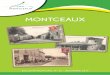 MONTCEAUX - Réseau des Communescdn2_3.reseaudescommunes.fr/cities/530/documents/mdppbc9yji6dprv.… · En application de la loi sur la limitation du cumul des mandats, le président