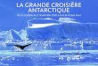 LA GRANDE CROISIÈRE ANTARCTIQUE...Antarctique, et les oiseaux des grands océans : pétrels géants, alba-tros hurleurs… 8 novembre : Passage de Drake - Cap Horn et canal Beagle