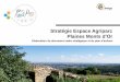 Stratégie Espace Agriparc Plaines Monts d’Orgos-stdidier.fr/wp-content/uploads/2019/04/03-19-projt-Agriparc.pdf · le territoire et valoriser les liens villes-centres, villages