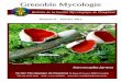 Bulletin de la Société Mycologique du DauphinéGrenoble Mycologie Numéro 6 - Janvier 2015 Bulletin de la Société Mycologique du Dauphiné Société Mycologique du Dauphiné 24