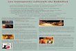 Les transports culturels du Babeltutdocs.obabeltut.com/2013/07/TC-2009-2010-1.pdf · "Yura" de Virgile Loyer Un voyage esthétique et intérieur à travers le Tibet. Ouverture des