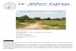 Lettre pour site web - Jethro · Mady Ouédraogo. Le Jéthro-Express Bulletin d’informations de l’Association Jéthro - Juin 2007 / no. 10 Une alternative pour le Sahel Vue partielle