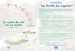 AAPPMA “La Truite du Lignon”truitedulignon.free.fr/3/images/stories/docs/Panneau_Le_cycle_de_vi… · Juste après l’éclosion, l’alevin ne mesure que 1.5 cm et porte sous