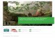 Observatoire des forêts des Hautes-Pyrénées · Fondation Toi l’Arbre Présentation de l’Observatoire des Forêts des Hautes-Pyrénées : contexte, objectifs et moyens d’actions