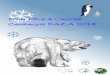 D’un Pôle à l CamPagne eaZa 2014 - Zoo de la Palmyre · PDF file Penguin (anglais) = manchot Pinguin (allemand) = manchot Pingüino (espagnol) = manchot Pinguino (italien) = manchot