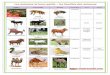 Les animaux et leurs petits famille des animaux cri et abri · 2019-04-23 · Microsoft Word - Les animaux et leurs petits famille des animaux cri et abri Author: yessine Created