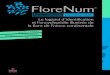 manuel FloreNum A4 06• des « noms vernaculaires* » (= noms en français), entrer le début du nom et sélectionner dans la liste ... Bonnier publiée(s) de 1912-1935, Flore Fournier