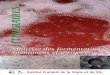 ITINÉRAIRESITINÉRAIRES · 2020-01-21 · Saccharomyces sp. Schizosaccharomyces sp. Candida famata Raisin Moût en fermentation. 5 Institut Français de la Vigne et du Vin Kloeckera