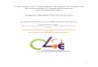 Convention sur lélimination de toutes les formes de ... · Convention sur lélimination de toutes les formes de discrimination à légard des femmes (CEDAW/CEDEF) Rapport alternatif