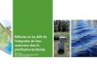 Réflexion sur les défis de l’intégration de l’eau souterraine dans la ...©flexion... · 2019-02-28 · L’eau •Ressource essentielle •Écosystèmes •Approvisionnement