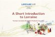 Brief Introduction of Yunnan Lorraine (1).ppt [兼容模式] · 2018-04-19 · Brief Introduction Yunnan Lorraine is a premier Chinese producer of Natural essential oils, Natural