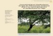 Caractéristiques biophysiques du bois de Pterocarpus erinaceus … · 2015-11-23 · La quasi-totalité de ce bois est exportée vers la Chine sous forme de grumes. Cette espèce