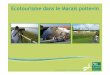 Ecotourisme dans le Marais poitevin · 2020-01-17 · Développer un tourisme rayonnant dans l’espace et dans le temps • Sensibiliser les visiteurs aux patrimoines et àla fragilitédu