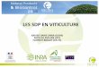 LES SDP EN VITICULTURE20Pr%E... · 2018-10-31 · •Produits SDP disponibles actuellement en viticulture • Quelques résultats d’essais d’efficacités (Bourgogne – Bordeaux)