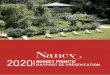 2020 RAPPORT DE PRÉSENTATION - Ville de Nancy · BUDGET PRIMITIF 2020 RAPPORT DE PRÉSENTATION 6 L’équilibre du budget primitif 2020 Le budget primitif 2020 consolidé (mouvements