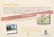 Le carnet de voyage - FFCC · 2020-02-14 · Le carnet de voyage Ce carnet de voyage a pour but de donner, à ceux qui voudraient voyager chez nos voisins allemands, quelques pistes,