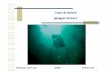Cours de théorie plongeur niveau I - Freecsakb.plongee.free.fr/Documents/cours_n1-2.pdf · Après obtention du niveau 1, le plongeur doit évoluer et pratiquer graduellement. Dans