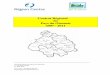 Contrat Régional du Pays du Giennois 2007 - 2011 · AXE I Accompagner le développement économique 1 511 000 695 300 Action 1 Compléter les outils du développement économique