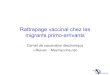 Rattrapage vaccinal chez les migrants primo-arrivants 0 1,050 2,100 4,200 Kilometers Couverture vaccinale