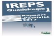 Rapport d’activité 2013 - Ireps Guadeloupe · Analyse et Politiques Economiques, Licence Professionnelle Ressources Documentaires et Bases de Données Janvier 2001 Guillaume Pompougnac