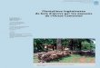Plantations ingénieuses de bois d’œuvre par les paysans de …bft.cirad.fr/cd/BFT_309_63-76.pdf · 2013-02-22 · pour les paysans de l’Ouest-Cameroun (Torquebiau, 2007). Ces
