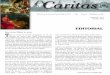 Caritas - FSSPX - SSPX - La Porte Latinelaportelatine.org/district/prieure/stecroix/Caritas0806.pdf · Mai-Juin 2008. Bien chers fidèles et amis, T. out au long de l’année liturgique,