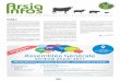 Mensuel de l’Association Régionale de Santé et d ... · Mensuel de l’Association Régionale de Santé et d’Identification Animales.154 Juin 2017 1 Les changements sociétaux