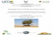 RAPPORT DE STAGE DE SECONDE ANNEE - Cirad · Résumé Les expériences menées au Sénégal pour estimer de manière indirecte les émissions de méthane par les zébus Gobra au cours