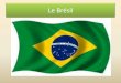 Le Brésil - RIAQpages.riaq.ca/voyages/bresil.pdfLe visiteur a droit à une vision plus globale avec des passerelles impressionnantes qui s’avancent ves les chutes. Le ebondissement